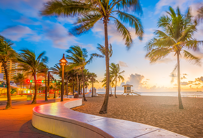 cement bench and palm trees by the beach